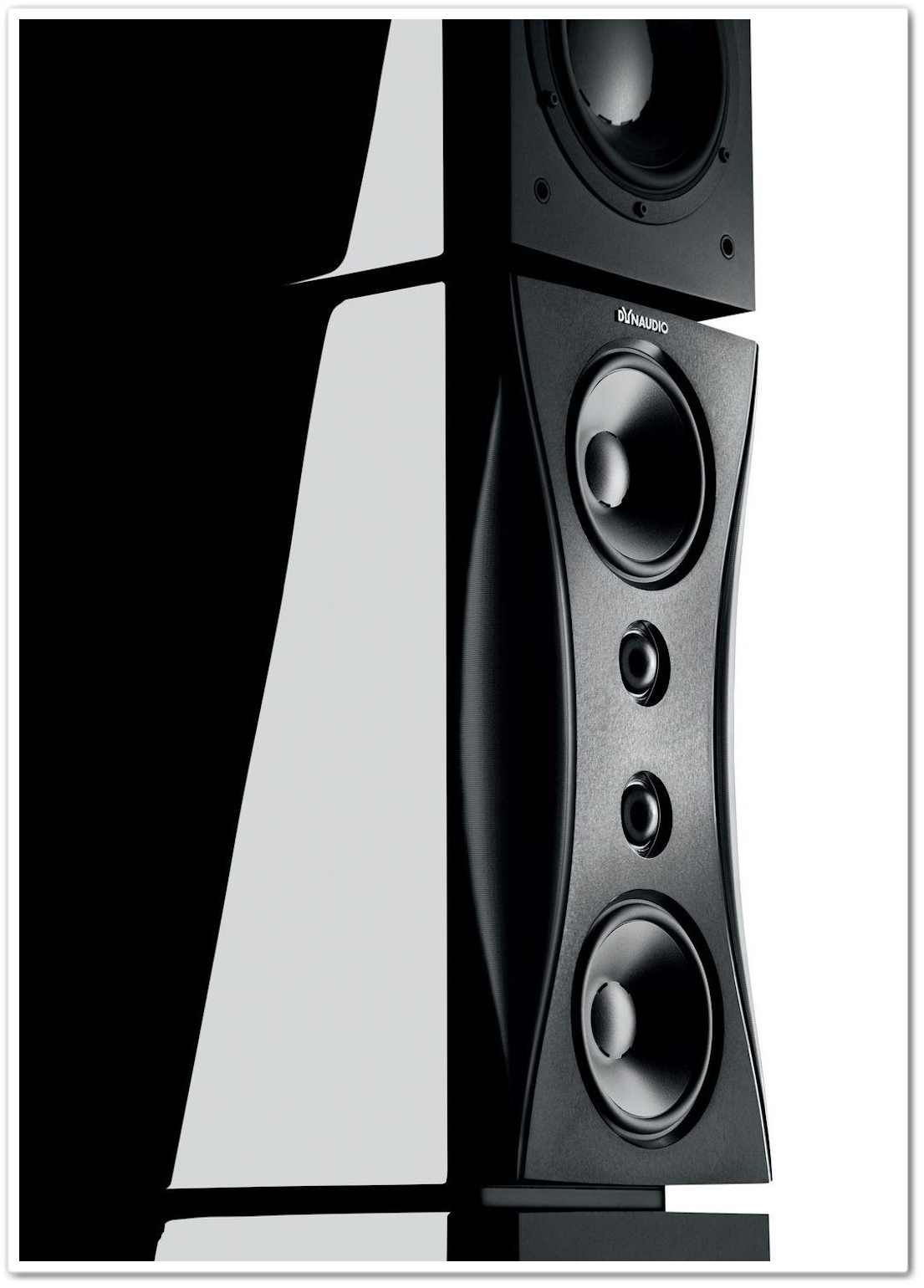 Dynaudio Evidence Master camarossAUDIO